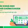 Khoá học chứng khoán TFreedom – 3 Lộ trình đầu tư bài bản cho người mới và nhà đầu tư cá nhân