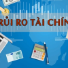 Khoá học quản trị rủi ro tài chính cho người mới bắt đầu